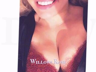 Willows_Rose